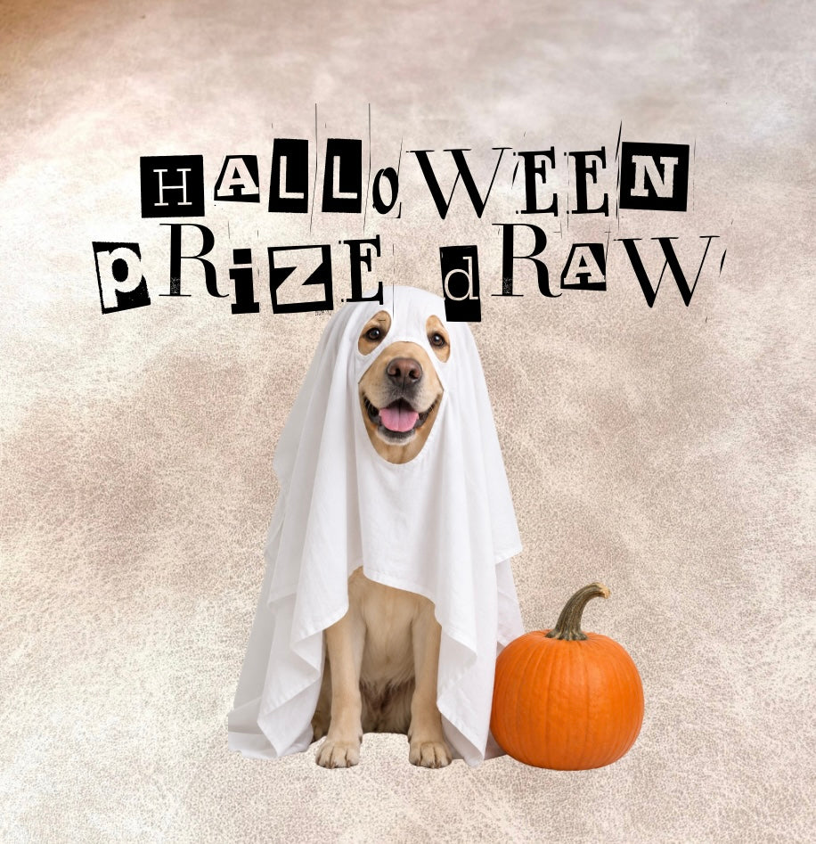Halloween Prize