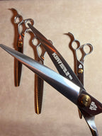 KBW Masters: The Theo Set™