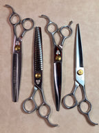 KBW Masters: The Theo Set™