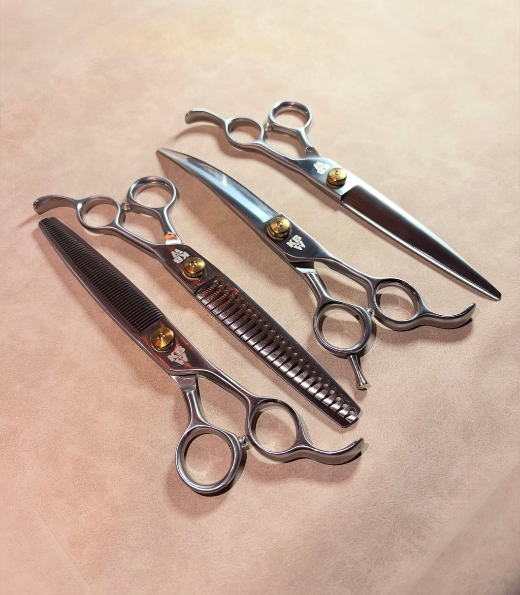 KBW Masters: The Theo Set™