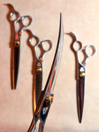 KBW Masters: The Theo Set™