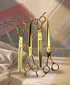 ‘KBW Aurum Serrata 7.5” Ensemble et portfolio de ciseaux (GAUCHER)